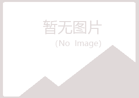 兴山区藏心采矿有限公司